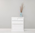 ComodÄƒ cu 2+3 sertare - Culoare_P004 - VOPSIT de la Rustic Butique OUTMPS7145 - Culoare_P004 - VOPSIT